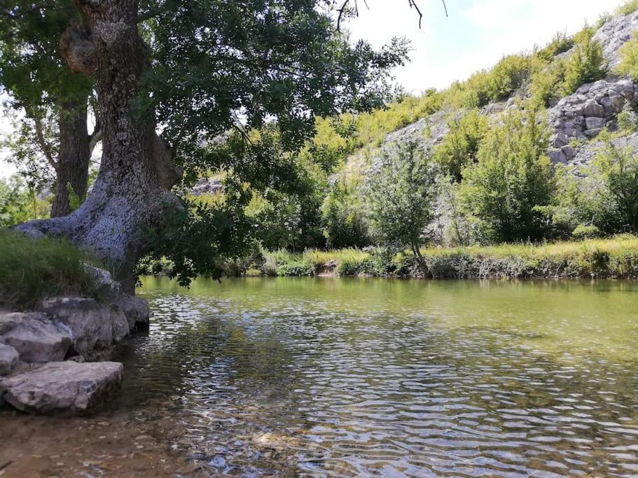 Holiday House Aurora Borealis Ervenik Εξωτερικό φωτογραφία